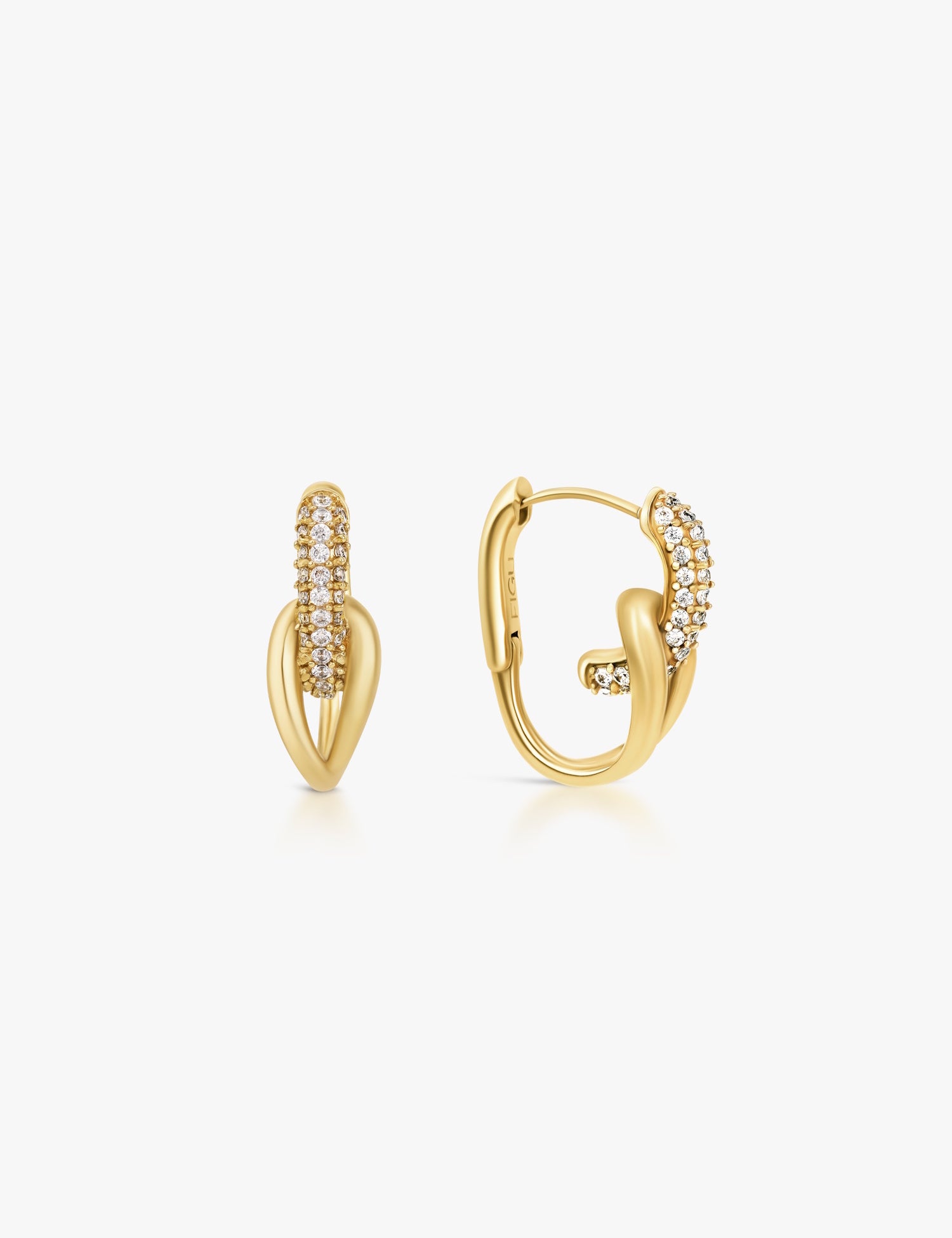 Aster Hoops