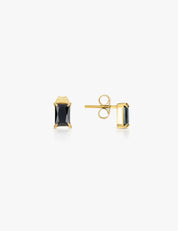Petit Crystal Earrings