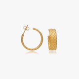 Leonor Hoops